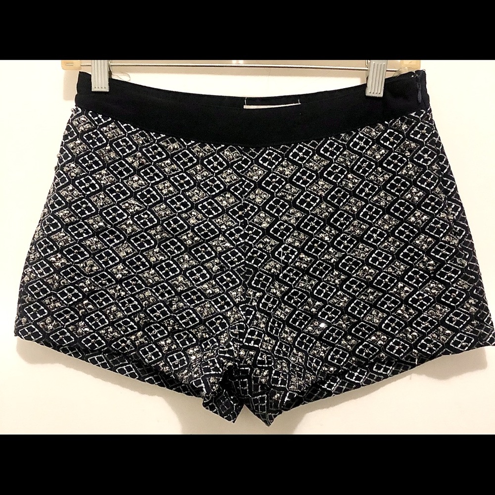 Beaded and Embroidered Shorts